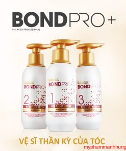 BỘ CHĂM SÓC TÓC CAO CẤP LAVOX BONDPRO + 300ML X3