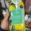 Sữa tắm On The Body The Natural Plus Lemon Verbena Body Wash 900g
