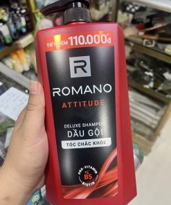 Dầu gội hương nước hoa nam Romano Attitude 900g
