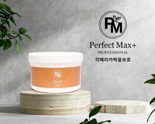 Kem Hấp Ủ Phục Hồi Tóc Hư Tổn Perfect Max Hair Mask 500ml